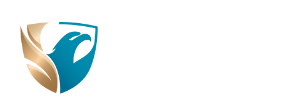 公司